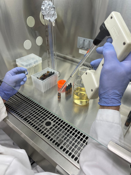 CBG May Be the Next Frontier in Post-fracture Bone Healing
