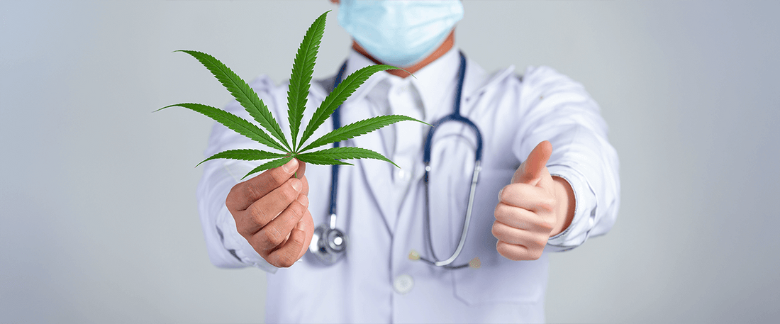 Cannabis for Weight Loss and Metabolic Disorders